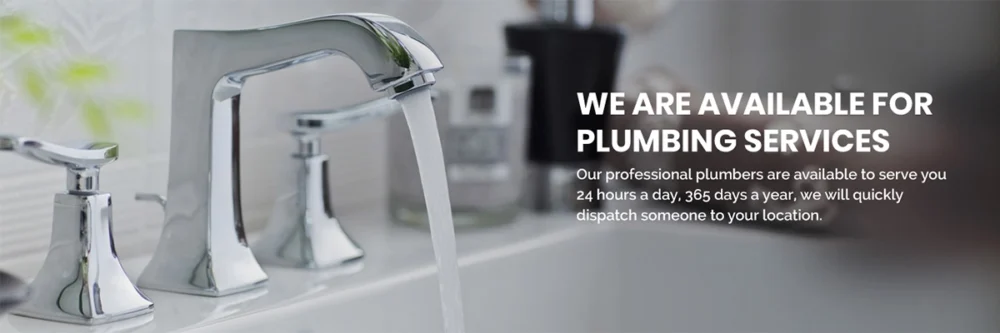 Holland Plumbing Services Inc.