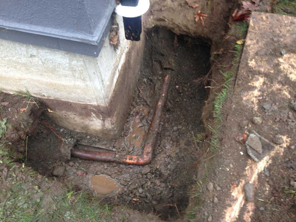 Wet Coast Drainage Solutions